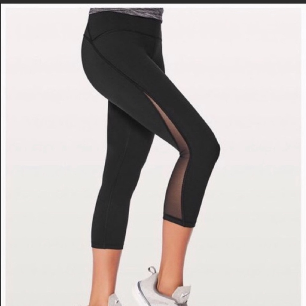 Train Times Crop caprice, brand new with tags.